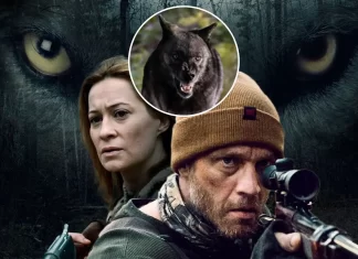 Rodinu v lese ohrožuje hladový vlk. Výborný survival thriller plný překvapení je konečně na streamu
