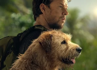 Na Oneplay míří dojemné drama podle skutečných událostí. Mark Wahlberg závodí po boku toulavého psa